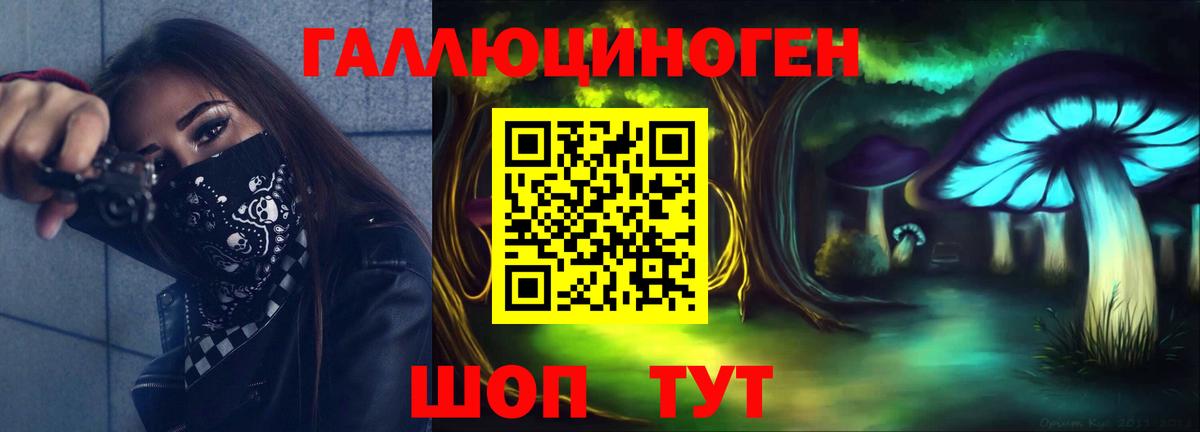 Псилоцибиновые грибы GOLDEN TEACHER  Вход с VPN  Сертолово  Галлюциногенные грибы Psilocybine cubensis 